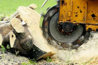 Stump Grinding